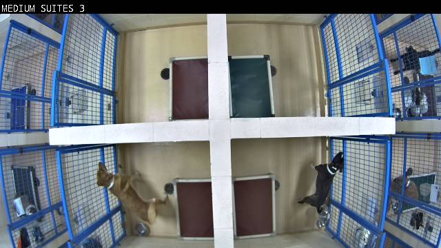 Webcam in New Boston,United States