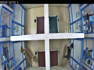 Webcam in New Boston,United States