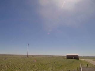 Field