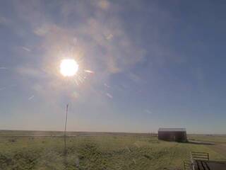 Field