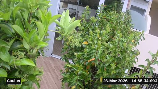 Webcam in Torrenova,Italy