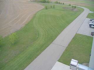 Fields