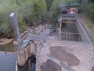 Dam