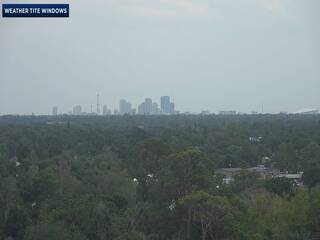Neighborhood
