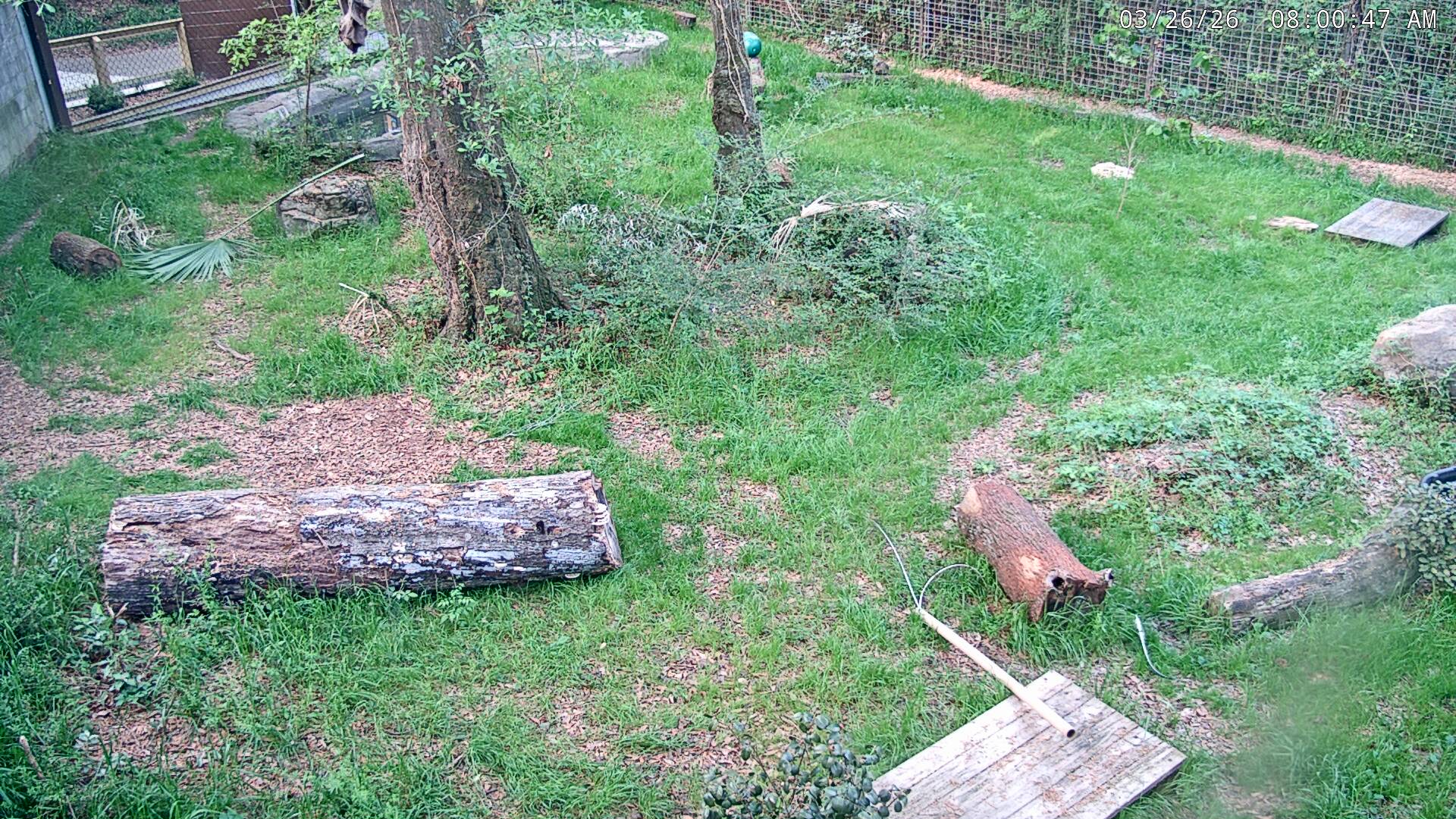 Webcam in Groveton,United States