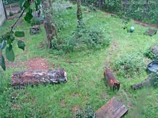 Caldwell Zoo