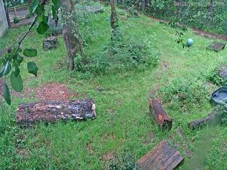 Caldwell Zoo