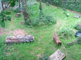 Caldwell Zoo