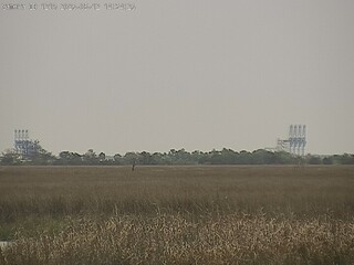 Field view