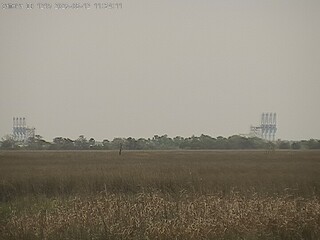 Field view
