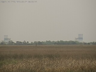 Field view