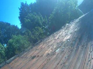 Roof top view