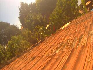 Roof top view