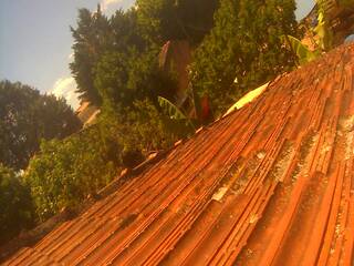 Roof top view