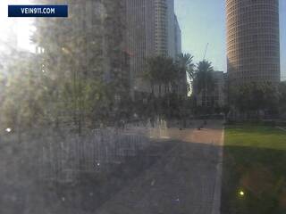 Webcam in Tampa,United States