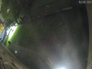 Side Garden