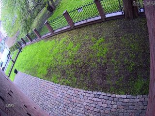 Side Garden