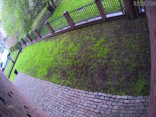 Side Garden