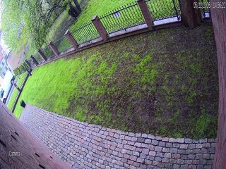 Side Garden