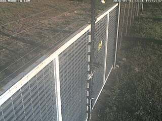 Fence