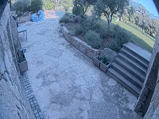 Patio Cam