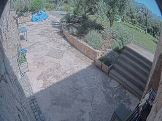 Patio Cam