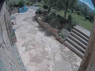 Patio Cam
