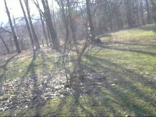 Webcam in Kenton,United States