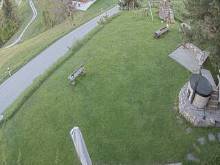 Back Garden