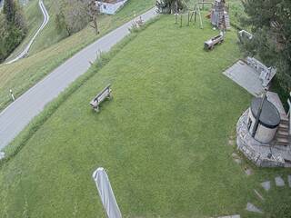 Back Garden