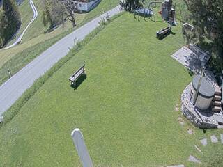Back Garden