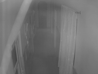 Security webcam