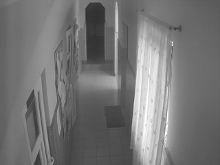 Security webcam