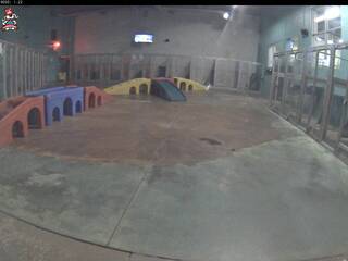 Dog Day Care