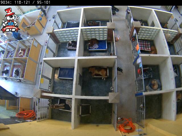 Webcam in Muskegon,United States