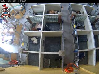 Dog Kennel