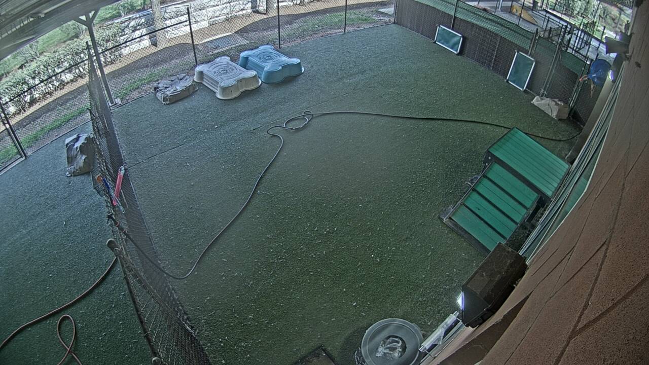 Webcam in Alexandria,United States