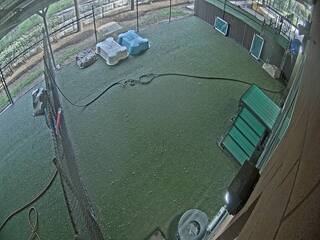 Webcam in Alexandria,United States