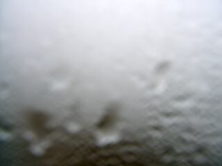 Los Angelas Hills