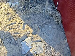 Webcam in Dallas,United States