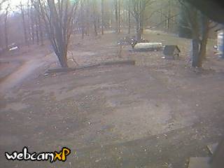 Webcam in Kenton,United States