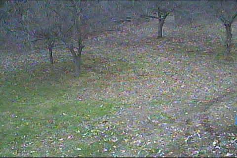 Webcam in Kenton,United States