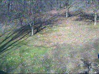 Webcam in Kenton,United States