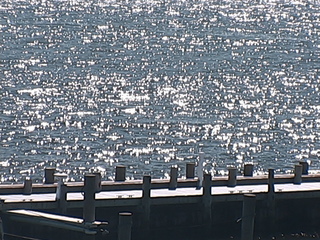 Carteret Waterfront Restaurant