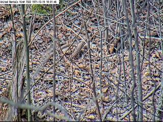 Webcam in United States