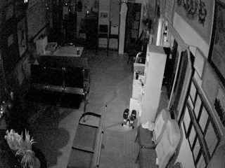 Security webcam