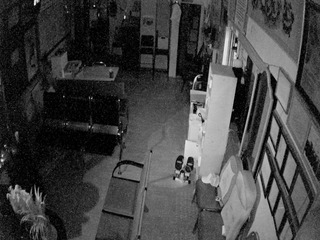 Security webcam