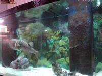 Aquarium
