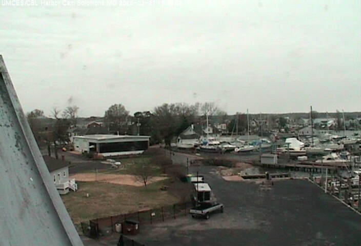 Webcam in Bowie,United States