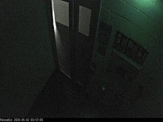 Security webcam
